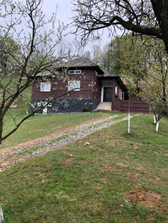Cabana Hatere Moisei Exterior foto